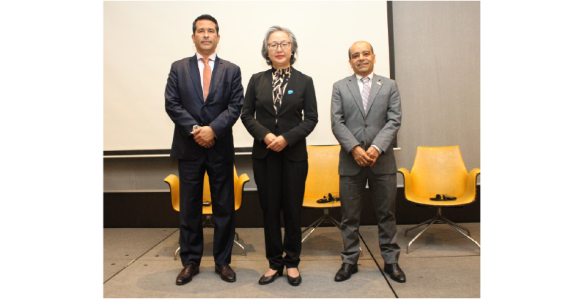 Entrenamiento Multidimensional (PEM)