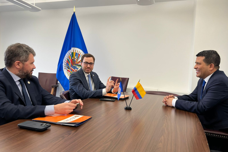 Director general de la UIAF dialogó con el secretario de Seguridad Multidimensional de la OEA